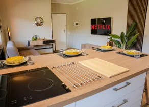 Apartment in the countryside near the sea in Nettuno - Image 4