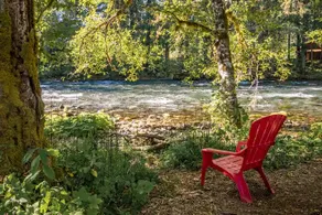 On the River Wooded Bliss Cabin near Loloma #3 - Image 2
