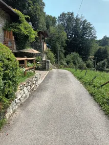 Casa vacanze 'Farmhouse Of Grandfather Chek' con vista sulle montagne e aria condizionata - Image 3