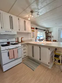 Tiki House - Image 4