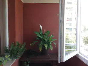 Cozy and sunny apartment - Image 2