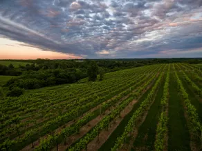Wild Hills Winery Vineyard Stay – Private & Scenic - Image 3