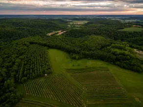 Wild Hills Winery Vineyard Stay – Private & Scenic - Image 2