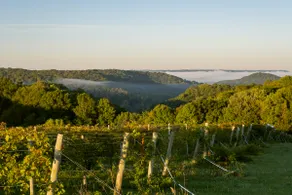 Wild Hills Winery Vineyard Stay – Private & Scenic - Image 5