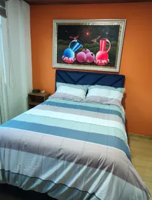 Colonial Charm Apartment Suite - Image 5