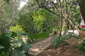 Casa de Campo Bougainvillea - Image 4
