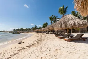 Tulum Beach Jungle Cabin - Image 3
