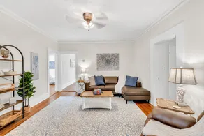 The Social Cottage - Image 3