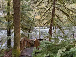 Charming Riverfront Cabin - Image 3