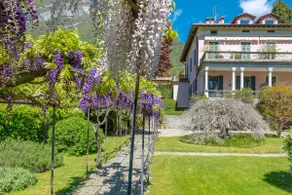 Apartment Maya - Tremezzina - Image 3