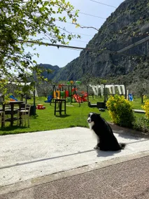 Alla Pergola - Image 4