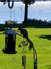 Lakefront Comfort - Image 5