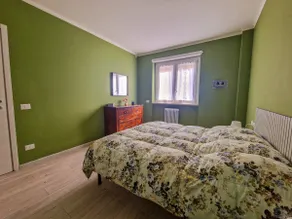 Nest in the green - Image 3