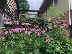 Vogelsang Charming Garden Guesthouse - Image 3
