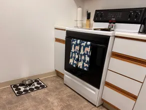 Cozy 2BR • Pets • Near Airport & Downtown Boise - Image 4