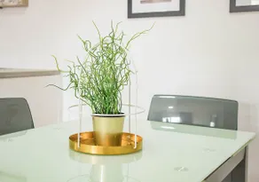 MojacarProperty Noalejo Beach Apartment - Image 4