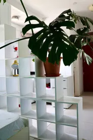 Charming Studio Apt |Central ADD - Image 5