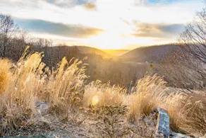 Breathtaking Mountain Views Near Omni Homestead - Image 3