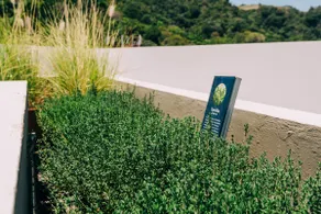 NEW Cozy&Modern Apt 30min from SurfCity - Image 3