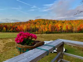 Reillys Rest -GreenMtns! Secluded-Pet-Kid friendly - Image 4