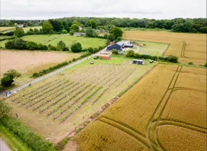 Vineyard Annexe - Image 4