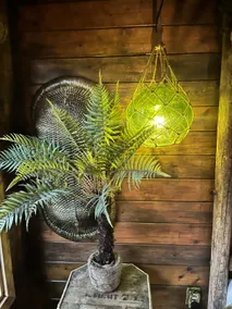 Anna's (Hut 15) Jungle hut - Image 5