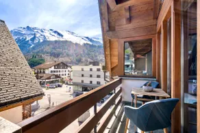 A&Y Penthouse Engelberg - Image 2
