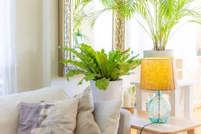 Stunning Bondi Beach Ocean View full apartment - Image 5