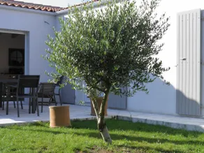 Villa Loti à La-Brée-Les-Bains - FR5SNARN - Image 2