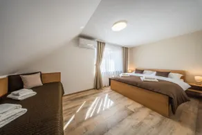 Wine cellar with accommodation Moravský Žižkov - Image 4
