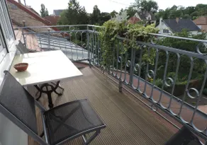 charming air-conditioned cottage on the outskirts of Strasbourg - Image 3