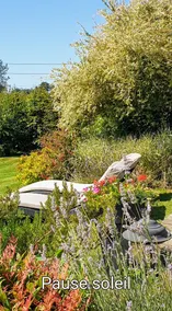 Anne and Ulysse, small cozy cottage in Normandy - Image 5