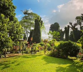 Spacious Historic Estate ~ 5 Min Walk to Hilo & Bay Front - Image 2