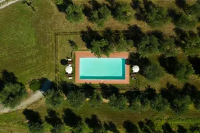 Podere l'Ulivo - Image 5