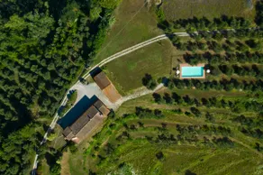 Podere l'Ulivo - Image 4