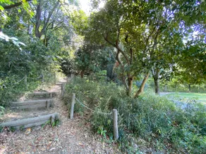 25MinToTokyo|ResidentialArea|Nomadwork|GymNearby - Image 5