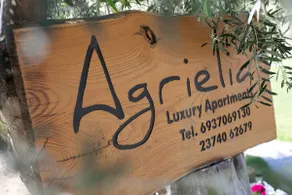 Agrielia Studio - Image 4