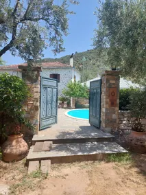 The Cocoon and olives Hut - Image 3
