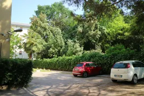 Liola,cozy flat near Venice - Image 5