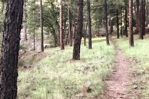 Solitude with Altitude - Image 5