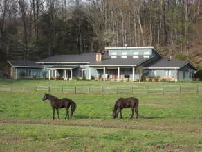 The Cottage at Sunset View Estate.  Close to rafting, hiking, Dollywood 30 mins. - Image 2