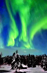 Northern Lights Lapland Villa - Image 3