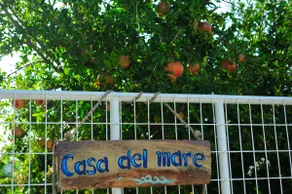 Mochlos Casa Del Mare Holiday House with Sea-view - Image 2