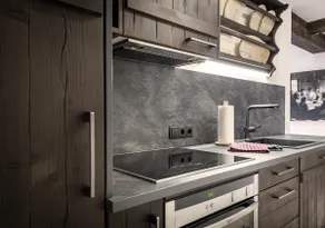 Apt with Steam Bath, Fireplace & Spa - Image 4