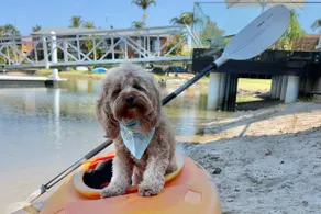 Waterfront, 2 B/Room, Pet Friendly, Pool & Pontoon - Image 3