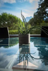 Large ground floor villa, close to Ajaccio. - Image 4