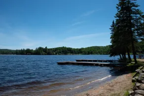 [ #3 The Wolf ] A log loft by the water - Image 3