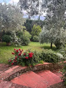 Le Piccole Scalette \"Under the Tuscan Sun\" - Image 4