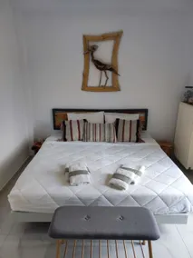 DriftWood Art Apartment Reborn Project Acropolis - Image 2