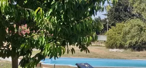 The small farmhouse in Provence with pool - Image 4